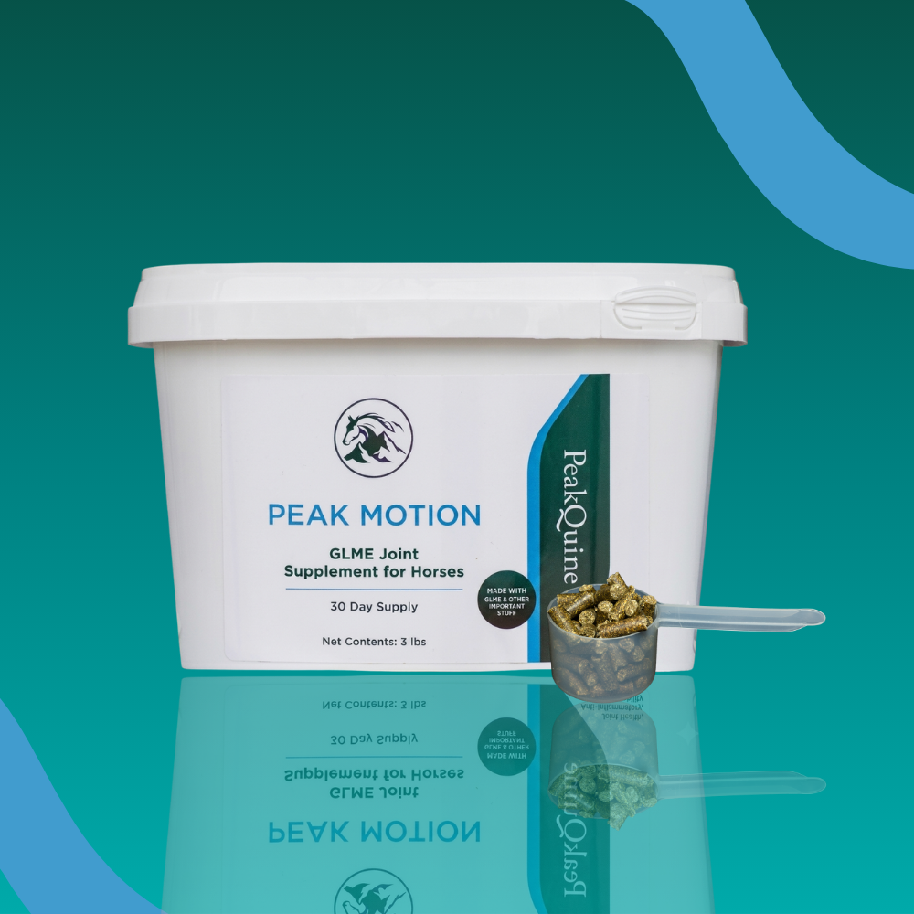 Peak Motion - Wholesale Case of 6