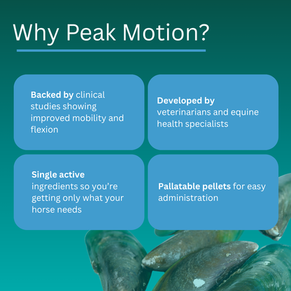 Peak Motion